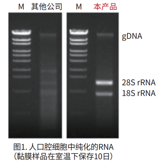 微信图片_20210507105511.png