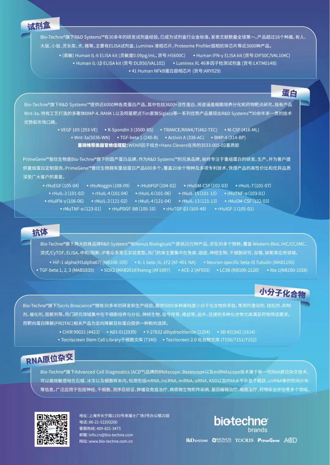 安迪2.jpg 安迪2.jpg